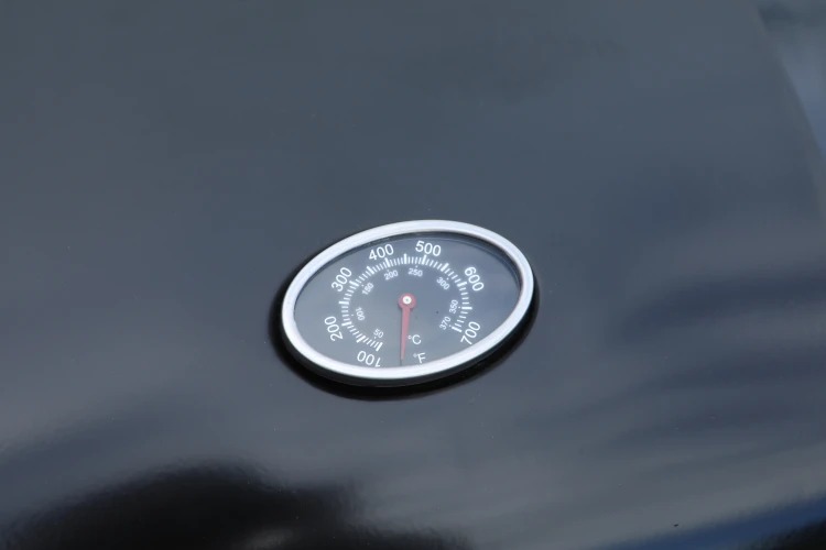 13729_9.JPG